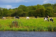 Czarter barek - Irlandia foto: LOCABOAT